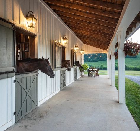 Horses looking outside their stalls Dream Barn Stables, Stable Style, Horse Farm Ideas, Horse Barn Ideas Stables, Horse Barn Designs, Dream Stables, Dream Horse Barns, Horse Barn Plans, Dream Future