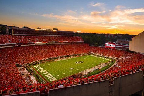 Sanford Stadium, Bulldog Decor, Uga Football, Georgia Dawgs, Georgia Bulldogs Football, Bulldogs Football, College Aesthetic, Last Game, Football Stadium