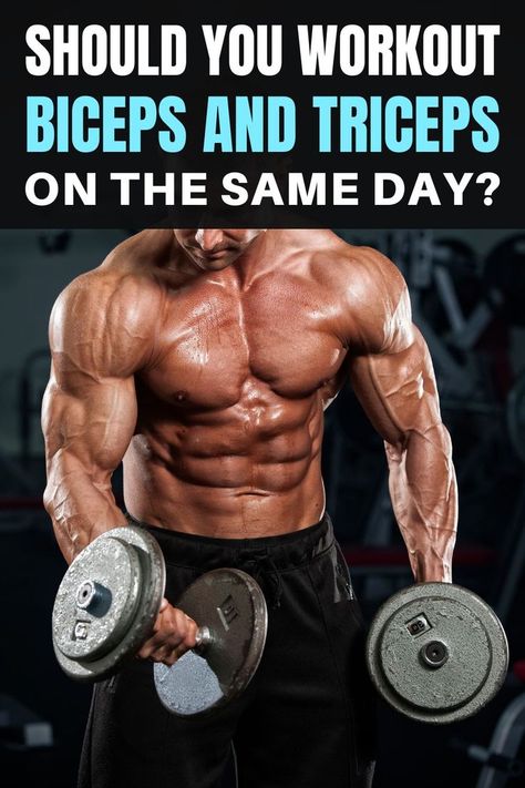 One single exercise can’t help you build your arm muscle group. Hence, many lifters decide to combine biceps and triceps in a workout session to speed up their progress. But should you workout biceps and triceps on the same day? Will they affect your muscles? You can find the answers to these questions right here. Let’s join us to establish a perfect training program for your arm muscles! Mens Bicep Workout, Build Arm Muscle, Arm Workout Men, Workout Biceps, Bicep And Tricep Workout, Arm Muscle, Tone Arms Workout, Guided Relaxation, Basic Workout