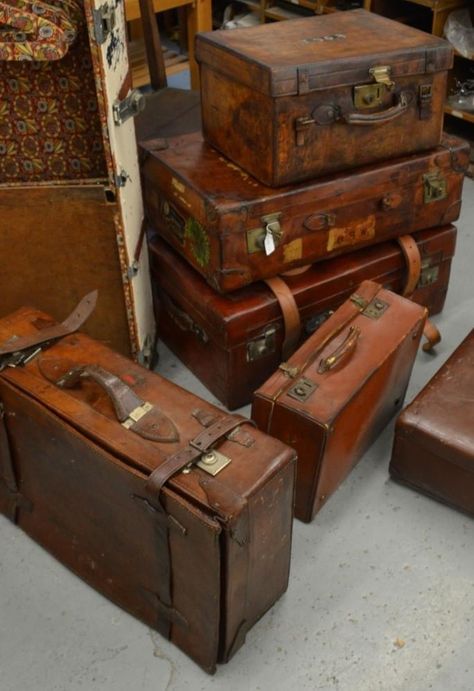 Suitcase Aesthetic Vintage, The Magic Faraway Tree, Hogwarts Gryffindor, Faraway Tree, Royal Core, Girl Red Dress, Hogwarts Aesthetic, Dark Academia Aesthetic, Academia Aesthetic