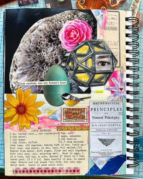 Becky Bowen Craig on Instagram: "#mixedmedia #collage #artjournal #art #arttherapy #egg #bird #moon #space #bloom #blossom #flower #eye #geometry #math #science #heart #zurich #brownies #recipe #measure #measurement #spacetime" Math Collage Art, Geometry Math, Moon Space, Bloom Blossom, Brownies Recipe, Human Heart, Space Time, Blossom Flower, Art Therapy