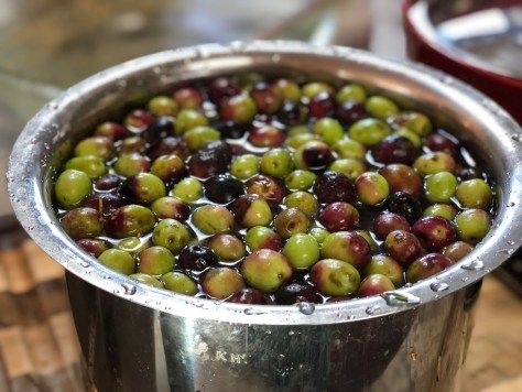 Curing Olives at Home | Surreyfarms. A serene haven in the foothills of Northern California Curing Olives Recipes, Brine Olives Recipe, Curing Olives How To, Curing Olives, Olive Recipes Appetizers, Fermenting Foods, Food Grade Buckets, Food Planning, Olive Brine