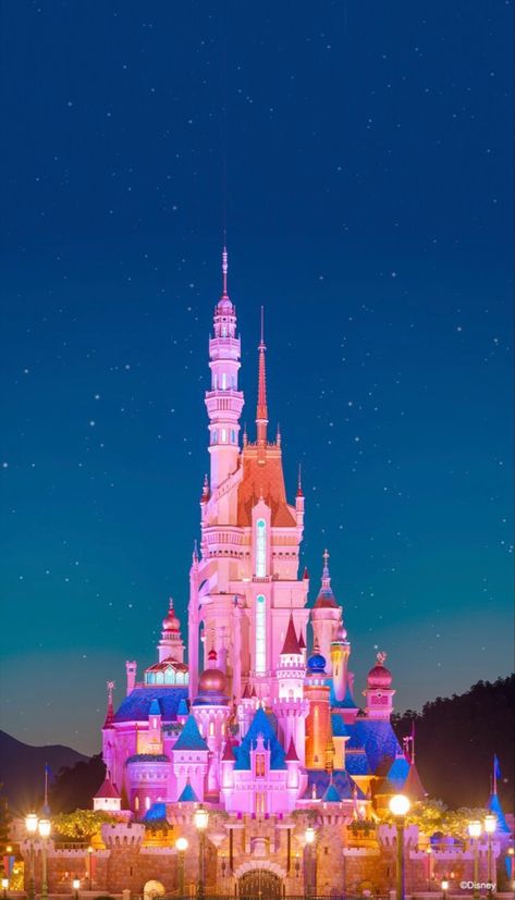 Hong Kong Disneyland Castle, Disney Hong Kong, Disneyland Guide, Disney Movies List, Disney World Castle, Disneyland Castle, Disney Drawings Sketches, Castle Aesthetic, Disney Iphone