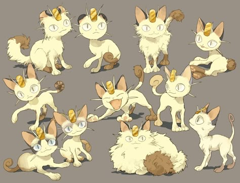 Meowth Pokemon Meowth, Pokemon Team Rocket, Pokemon Breeds, Pokemon Oc, Pokemon Stuff, Pokemon Memes, Cute Pokemon Wallpaper, Pokemon Teams, Pokemon Drawings