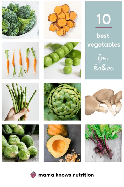 Best Veggies, Steam Artichoke, 6 Month Baby Food, Best Vegetables, Vegetables For Babies, Steam Veggies, Picky Eating, 6 Month Old Baby, Acorn Squash