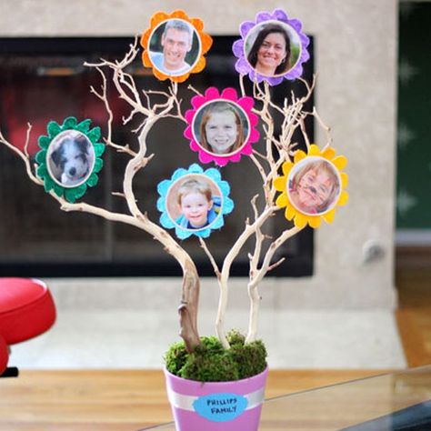 Diy Family Tree Project, Tree With Pictures, Family Trees Diy, Family Tree For Kids, Family Tree Craft, Make A Family Tree, Family Tree With Pictures, Trees For Kids, Photo Crafts