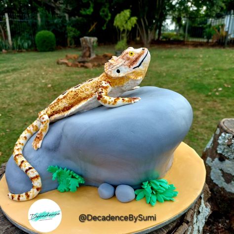 Bearded dragon cake!! All edible! Chocolate cake filled with chocolate fudge icing covered in chocolate ganache. #decadencebysumi #cake #cakedecorating #cakedesign   #trendingcakes2024 #designercakesdurban #noveltycakesdurban #kznbaker #smallbusinessdurban #cakesforallocassions #durbanbaker #supportlocalbusiness #hillcrestbaker #beardedragon #beardeddragoncake #beardeddragonsofinstagram Bearded Dragon Birthday Cake, Bearded Dragon Cake Ideas, Bearded Dragon Cake, Bearded Dragon Birthday, Dragon Cake Ideas, Lizard Cake, Dragon Birthday Cakes, Chocolate Fudge Icing, Fudge Icing