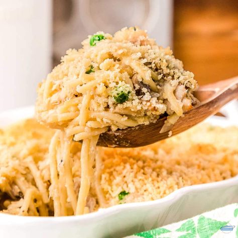 Tuna Tetrazzini Casserole - Best Casserole Recipes Tuna Tetrazzini, Tuna Tetrazzini Recipe, Tuna Casserole With Kraft Mac And Cheese, Tuna Noodle Casserole Katie Lee Biegel, Campbells Tuna Noodle Casserole Easy, Campbell Tuna Noodle Casserole, Chicken Tetrazzini Casserole, Easy Chicken Tetrazzini, Chicken Tetrazzini Recipes