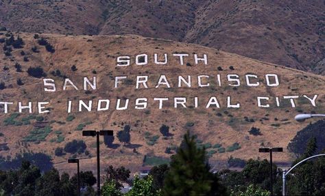 SOUTH SAN FRANCISCOHike the iconic Sign HillYou’ve probably only seen it from afar; now, hike the area around that famous ‘South San Francisco’ letters. You can walk right up to the letter and even sit on them for a Bay Area bucket list selfie like no other.	 Photo: FREDERIC LARSON Unusual Nature, Tahoe California, South San Francisco, Bay Area California, California Destinations, California Wildfires, Real Estate Ads, Fishermans Wharf, San Francisco Travel