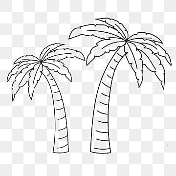 palm,tree,drawing,basic,line,tree vector,line vector,palm vector,phoenix sylvestris,butia capitata Palm Tree Outline, Tree Line Drawing, Palm Background, Palm Tree Background, Plant Drawings, Palm Tree Png, Wing Drawing, Palm Tree Drawing, Drawing Tree