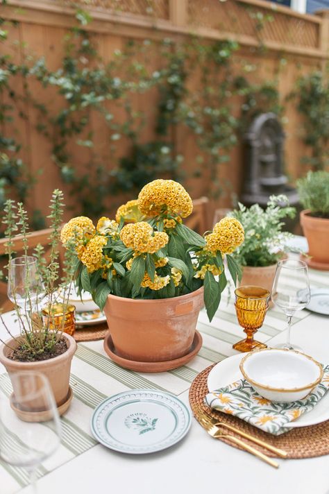 Tablescape Inspiration Everyday, Garden Party Tablescapes, Casual Tablescape, Fall Garden Party, Vintage Tablescape, Sage Color Palette, Traditional Table Setting, Tablescape Inspiration, Fall Tablescapes