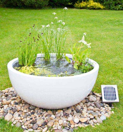 Shade Loving Flowers, Tanaman Air, Solar Water Feature, Moderne Have, Mini Pond, Container Water Gardens, Patio Pond, Taman Air, Pond Water Features