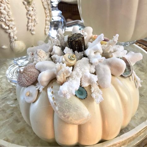 Cyndy Sells Seashells By The Seashore & More...From New & Vintage Decor, Seashells, Seasonal, One Of A Kind, Beach Bags, Jewelry & Clothing In The Women’s & Men’s Another “One Of A Kind” By Cyndy’s Beach House. New! Coastal Coral & Seashell Plump White Pumpkin. Adorned With Several Varieties Of Coral, Sanddollars, Pink Sea Urchin & Polished Seashells All Are Natural From The Sea & Individually Placed. Measures 8” Diameter. Coral Is Heavy! 5lbs With Box And Packing. No Bundling Due To Safety And Seashell Pumpkin, Beach Fall Decor, Shabby Chic Jars, Orange Led Lights, Scandinavian Candles, Christmas Dinner Plates, Summer Beach House, Christmas Trimmings, New Pizza