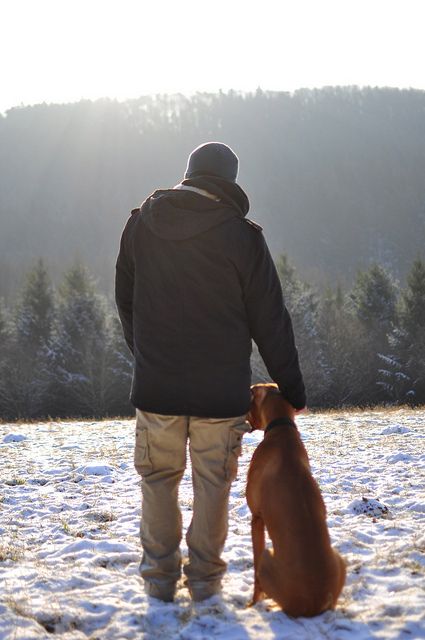 man's best friend. #boxer Dog With Owner, Boxer Bulldog, Mountain Mama, Illustration Dog, Boxer And Baby, Love My Sister, Loving Animals, Dog Mixes, Boxer Love