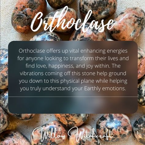 Crystal Magick, Crystal Seashells, Earth Gift, Witchy Things, Crystal Healing Stones, Crystal Meanings, Oracle Cards, Rocks And Minerals, Healing Stones