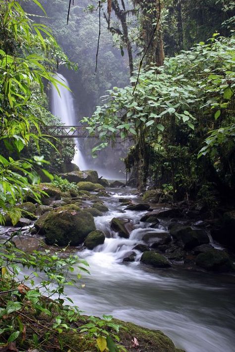 Costa Rica Waterfall, Famous Gardens, Tivoli Gardens, Air Terjun, Les Cascades, Water Resources, Beautiful Waterfalls, Nature Reserve, Positano