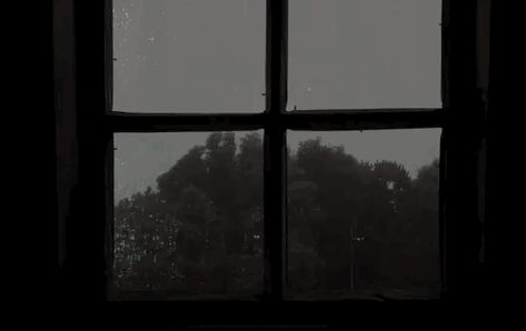 Rain Gif, Banner Gif, Through The Window, Aesthetic Gif, Aesthetic Images, Photo Quotes, Cup Of Tea, Art Plastique, Anime Scenery