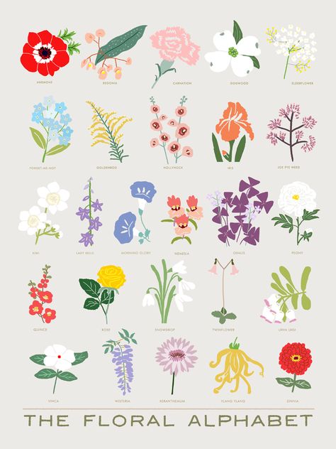 Flower Alphabet Letters, Flower Language, Flower Chart, Botanical Flowers Print, Doodle Bug, Sell Art Prints, Plant Art Print, Floral Alphabet, Flower Alphabet