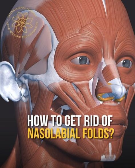 Nasolabial Folds Exercises, Get Rid Of Nasolabial Folds, Body Fat Loss, Nasolabial Folds, Under Eye Bags, Face Yoga, Eye Bags, Body Fat, Fat Loss