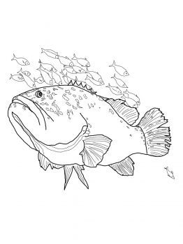 Rainbow Fish Coloring Page, Grouper Fish, Whale Coloring Pages, Fish Coloring, Mickey Mouse Coloring Pages, Fish Coloring Page, Free Adult Coloring Pages, Rainbow Fish, Fish Drawings