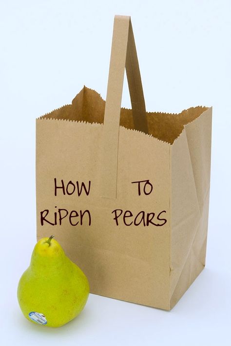 How To Ripen Pears, Seasonal Produce Guide, Fruit Facts, Fruit Nutrition, Storing Vegetables, Kitchen Help, Pear Recipes, Pear Trees, Bread Recipes Sweet