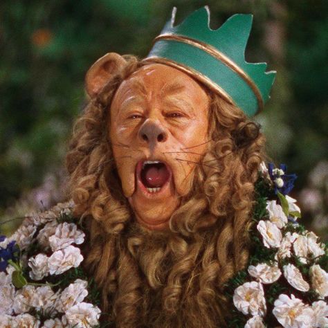 Wizard Of Oz Lion, King Of The Forest, Wizard Of Oz Movie, Wizard Of Oz 1939, Lion Costume, Wicked Witch Of The West, Cowardly Lion, Glinda The Good Witch, Turner Classic Movies