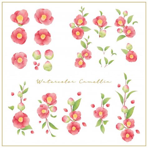 Red Camellia Tattoo, Camellia Flower Illustration, Camellia Flower Drawing, Camellia Flower Tattoo, Camellia Watercolor, Camellia Drawing, Cute Flower Drawing, Camellia Flowers, Illustration Journal