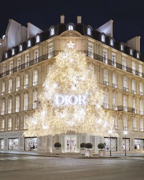 LVMH on Instagram: “HOLIDAY SEASON – DIOR Get ready for the year-end holidays with exclusive creations from LVMH and its Maisons! _ If you are in Paris, do not…” Dior Store, Champagne Taste, Christmas Window, Street Style Paris, Christmas Aesthetic, Window Display, Beautiful Photography, Perfect Christmas, Christmas Time