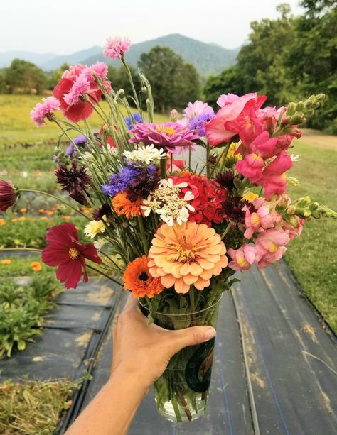 Flower Farming Aesthetic, Best You Pick Flowers, Flower Farmer Aesthetic, How To Take Pictures Of Flowers, You Pick Flower Garden, How To Start A You Pick Flower Farm, Picked Flowers Aesthetic, Farm Fresh Flowers, Flower Picking Garden