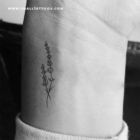 Fine Line Lavender Temporary Tattoo (Set of 3) – Small Tattoos Fine Line Lavender, Tattoo Lavender, Greece Tattoo, Tattoo Therapy, Maching Tattoos, Lavender Tattoo, Plant Tattoo, Red Ink Tattoos, Dream Aesthetic