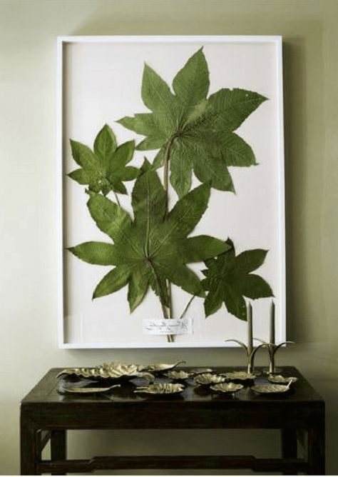 Diy Leaf, Framed Leaves, Rough Luxe, Pressed Flower Crafts, Botanical Leaves, Pressed Leaves, Leaf Crafts, Framed Botanicals, Pressed Flower Art