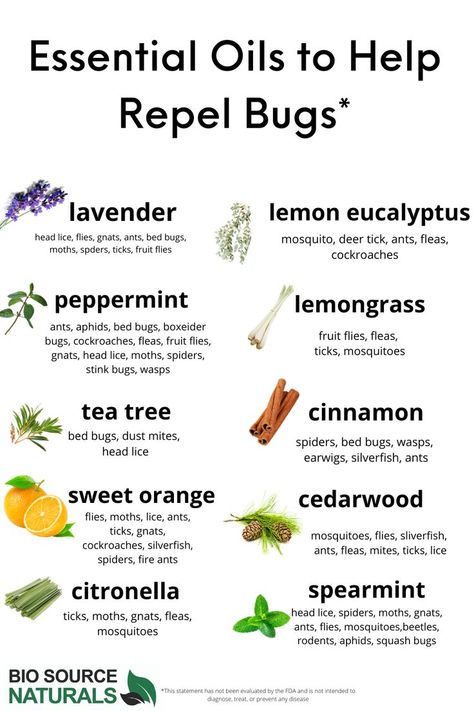 Diy Insect Repellent For Home, Bee Repellent Essential Oils, Essential Oils That Repel Bugs, Natural Indoor Bug Repellent, Essential Oil Pest Control, Gnat Repellant Essential Oils, Essential Oils Insect Repellent, Mosquito Repellant Essential Oils, Essential Oils To Repel Bugs