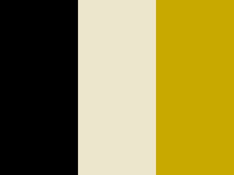 "black and yellow" by brianne.yogib Yellow Color Palette, Color Palette Yellow, Black And Yellow, Yellow Black, Yellow Color, Black N Yellow, Yellow White, Color Combinations, Black Color