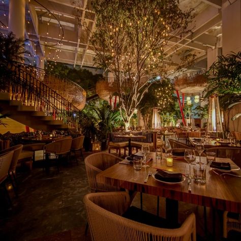 Komodo Restaurant - Miami, FL | OpenTable Gardening Seeds, Restaurants Outdoor Seating, Greens Restaurant, Restaurant Outdoor, Miami Restaurants, Florida Restaurants, Garden Calendar, Romantic Restaurant, New Restaurant