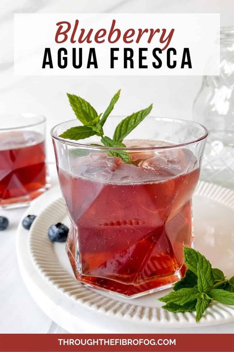 Aqua Fresca, Agua Fresca Recipe, Low Histamine Foods, Fun Summer Drinks, Fibro Fog, Healthy Afternoon Snacks, Low Histamine Diet, Summer Drinks Alcohol, Blueberry Juice