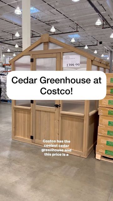 Costco Cedar Greenhouse, At Home Greenhouse, Costco Greenhouse, Small Greenhouse Diy, Backyard Greenhouse Diy, Small Backyard Greenhouse, Backyard Greenhouse Ideas, Berm House, Rustic Greenhouses