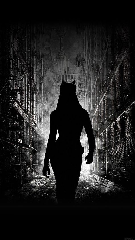 Cat Superhero, Superhero Background, Wallpaper Iphone Ios7, Catwoman Comic, Catwoman Cosplay, The Dark Knight Trilogy, Cat Women, The Creeper, Batman Artwork