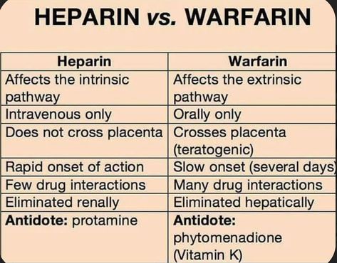 Study Medicine 👩🏻‍💻 on Instagram: “Heparin vs. Warfarin . . . . . #fnpstudent #fnpstudy #internalmedicine #apntips #npstudy #nptips #nursestudy #nursingstudent #apnstudent…” Nurse Tips, Nursing Information, Nursing Mnemonics, Pharmacy School, Pulmonology, Pharmacology Nursing, Nursing School Survival, Nursing School Studying, Nursing School Tips