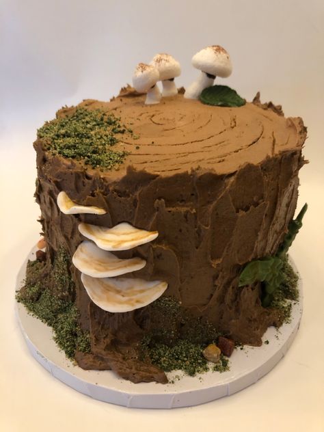 19th Bday Cake, Enchanted Garden Cake, Woodlands Cake, Rock Cookies, Enchanted Forest Cake, Woodland Birthday Cake, Meringue Mushrooms, Tree Stump Cake, Nature Cake