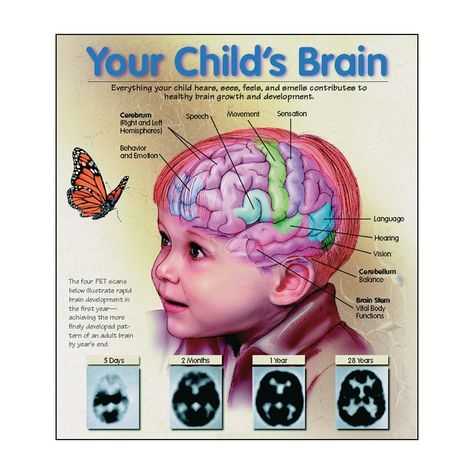 Infant-Child Brain Development: Did you know that positive social-emotional early experiences promote healthy brain development, while traumatic experiences rewire the child's brain to adapt to recurring high levels of stress. Childhood Traumatic, Infant Brain Development Activities, Early Brain Development, Baby Brain Development Activities, Brain Neuroscience, Whole Brain Child, Childhood Development, Social Development, Parenting Tips