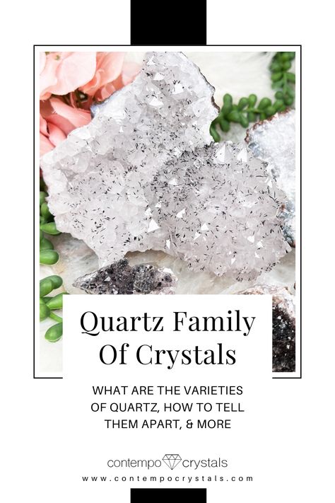 Quartz Family of Crystals Types Of Quartz Crystals, Types Of Quartz, Gemstones Chart, Gem Silica, Smoky Topaz, Crystals For Sale, Things Under A Microscope, Quartz Jewelry, Quartz Crystals