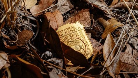 National Park Ranger Aesthetic, Park Ranger Aesthetic, Ranger Aesthetic, Hitch Trailblazer, Fire Tower, What Hurts The Most, Carlsbad Caverns National Park, Conservation Biology, Horror Series