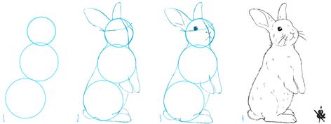 Un petit tuto pour apprendre à dessiner un lapin Peter Rabbit Illustration, Realistic Animal Drawings, Rabbit Drawing, Baby Animal Drawings, Animal Drawings Sketches, Rabbit Illustration, Bunny Drawing, Art Painting Gallery, Bunny Art