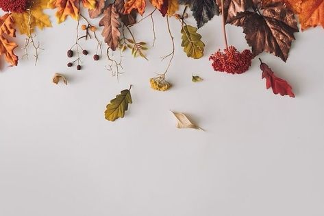 🍂🍂🍂 Creative Layout, Hello September, Fb Covers, Flat Lay, Autumn Leaves, Layout, Quick Saves, Color, Art