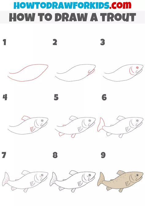 How to Draw a Trout - Easy Drawing Tutorial For Kids Trout Drawing Simple, How To Draw A Trout, How To Draw A Fish Step By Step, How To Draw A Fish, Fishing Drawing Ideas, June Watercolor, Trout Drawing, Salmon Drawing, How To Draw Fish