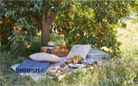 Picnic Inspiration, Garden Picnic, Picnic Set, Picnic Time, Orange Tree, Outdoor Picnic, Vintage Cottage, A Picnic, Décor Diy