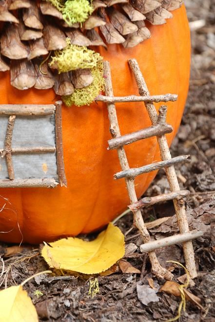 Fairy Garden Pictures, Pumpkin Fairy House, Contest Ideas, Fairy Halloween, Creative Pumpkin Carving, Pumpkin Contest, Pumpkin House, Halloween Pumpkin Designs, Halloween Fairy