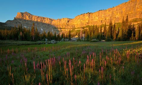 The elusive American wilderness: in search of my own private Idaho Bear Tracks, Sawtooth Mountains, My Own Private Idaho, Chinese Wall, Idaho, Monument Valley, Beautiful Pictures, Montana, Places To Visit