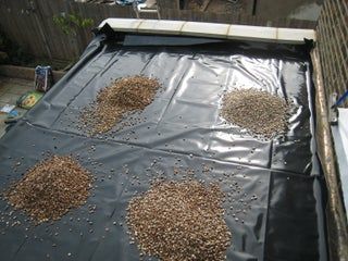 Build a Living Roof / Green Roof : 8 Steps (with Pictures) - Instructables Green Roof Project, Sod Roof, Roof Plants, Living Green Roof, Green Roof Garden, Green Roof House, Sedum Roof, Sloped Roof, Grass Roof