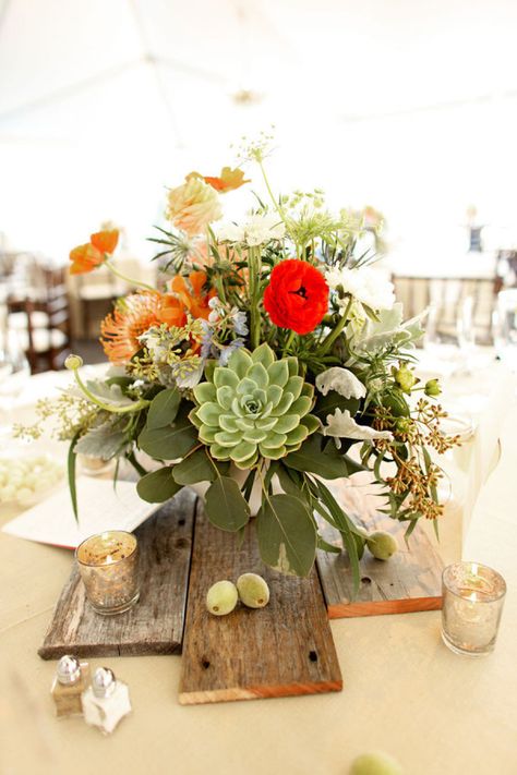 #succulents #centerpiece Event Planning & Design by markpadgetteventdesign.com Photography by rosenthalphotography.com/ Floral Design by flowersbydenise.com  Read more - http://www.stylemepretty.com/2011/12/26/holland-ranch-wedding-from-mark-padgett-event-design-rosenthal-photography/ Unique Rustic Wedding Centerpieces, Amazing Wedding Centerpieces, Something Borrowed Wedding, Unique Wedding Centerpieces, Cheap Wedding Centerpieces, Succulent Centerpieces, Cake Molds, Rustic Centerpieces, Rustic Wedding Centerpieces